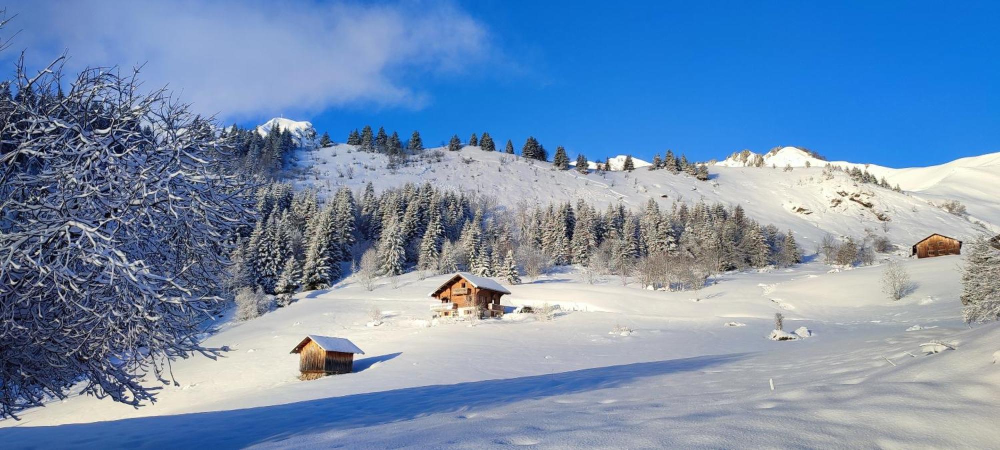 Le Taconet Hotel Le Praz de Lys Ngoại thất bức ảnh